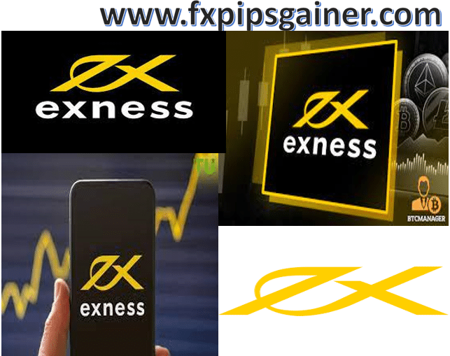 Minimum Deposits For Exness Account Types 6
